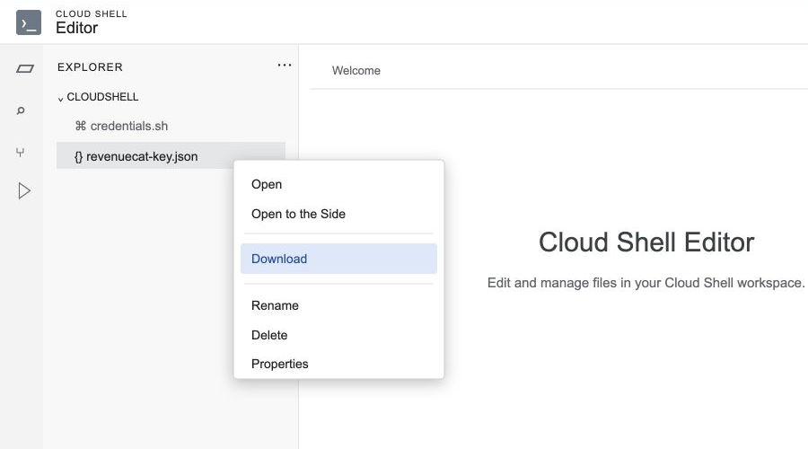 Downloading revenuecat-key.json from the Cloud Shell Editor file explorer