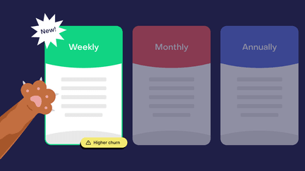 Weekly subscriptions: when do seven-day plans make sense?
